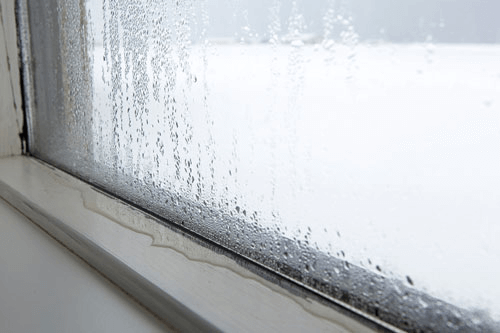 Mold Removal 101 – Mold And Humidity In The Home