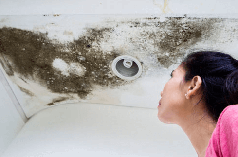 Handling Water Damage And Mold